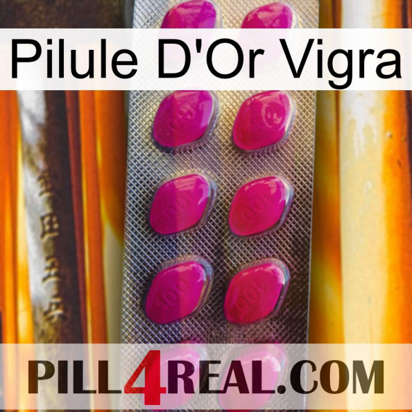 Vigra Gold Pill 09